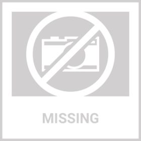 Chicken Strips Dog Treats Human Grade Meat Sticks Grain Free Chews 10.6 Oz